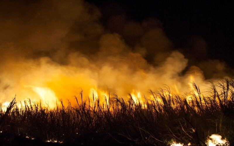 Is Sugar Flammable? (Can Sucrose & Glucose Catch Fire?)