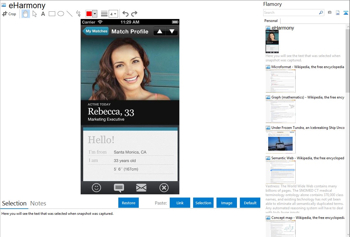 eHarmony integration with Flamory