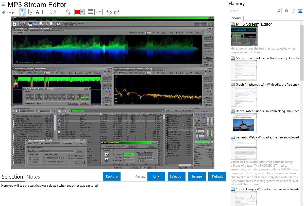 MP3 Stream Editor integration with Flamory