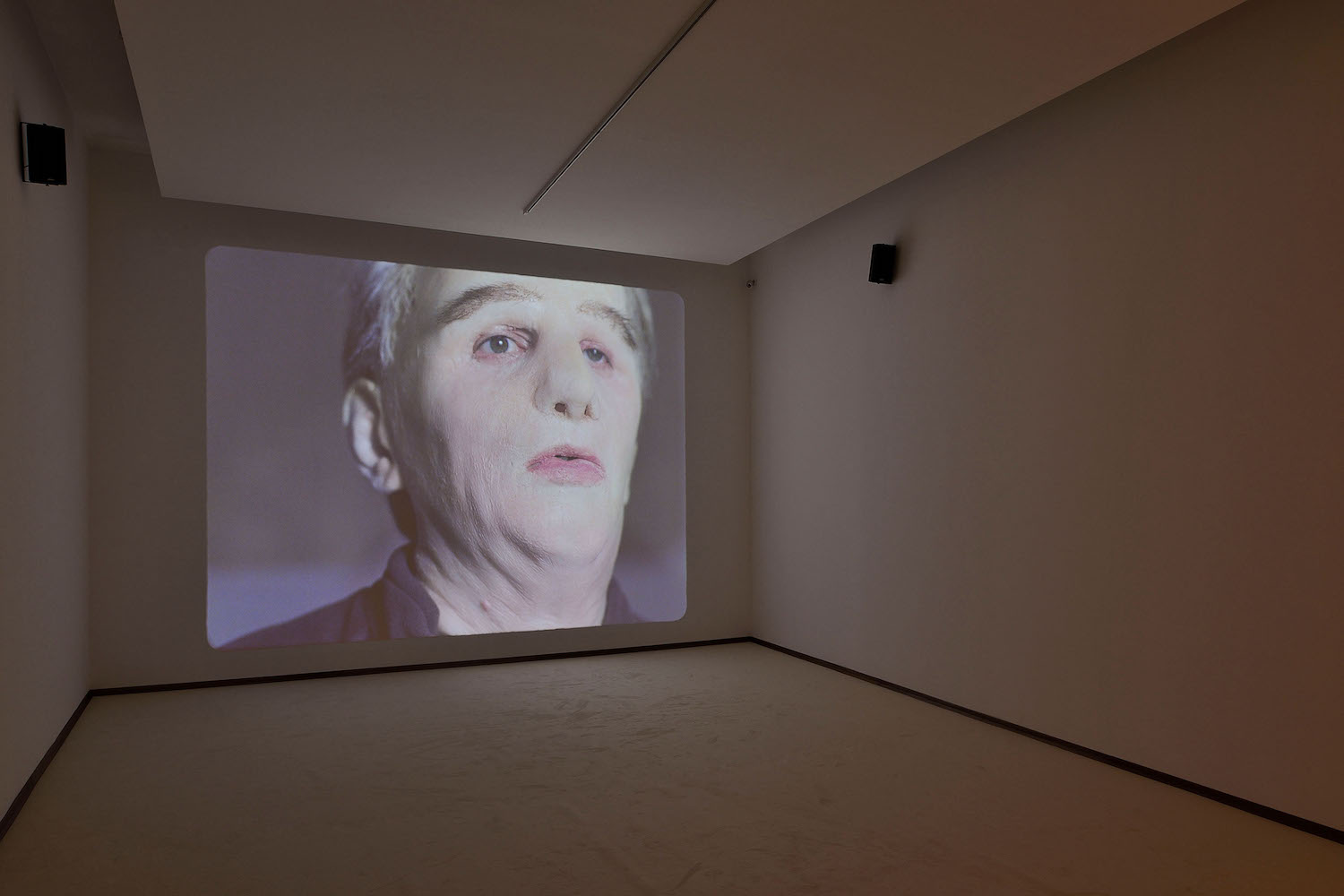 Diego Marcon "The Parents' Room" Museo Madre / Napoli Flash Art