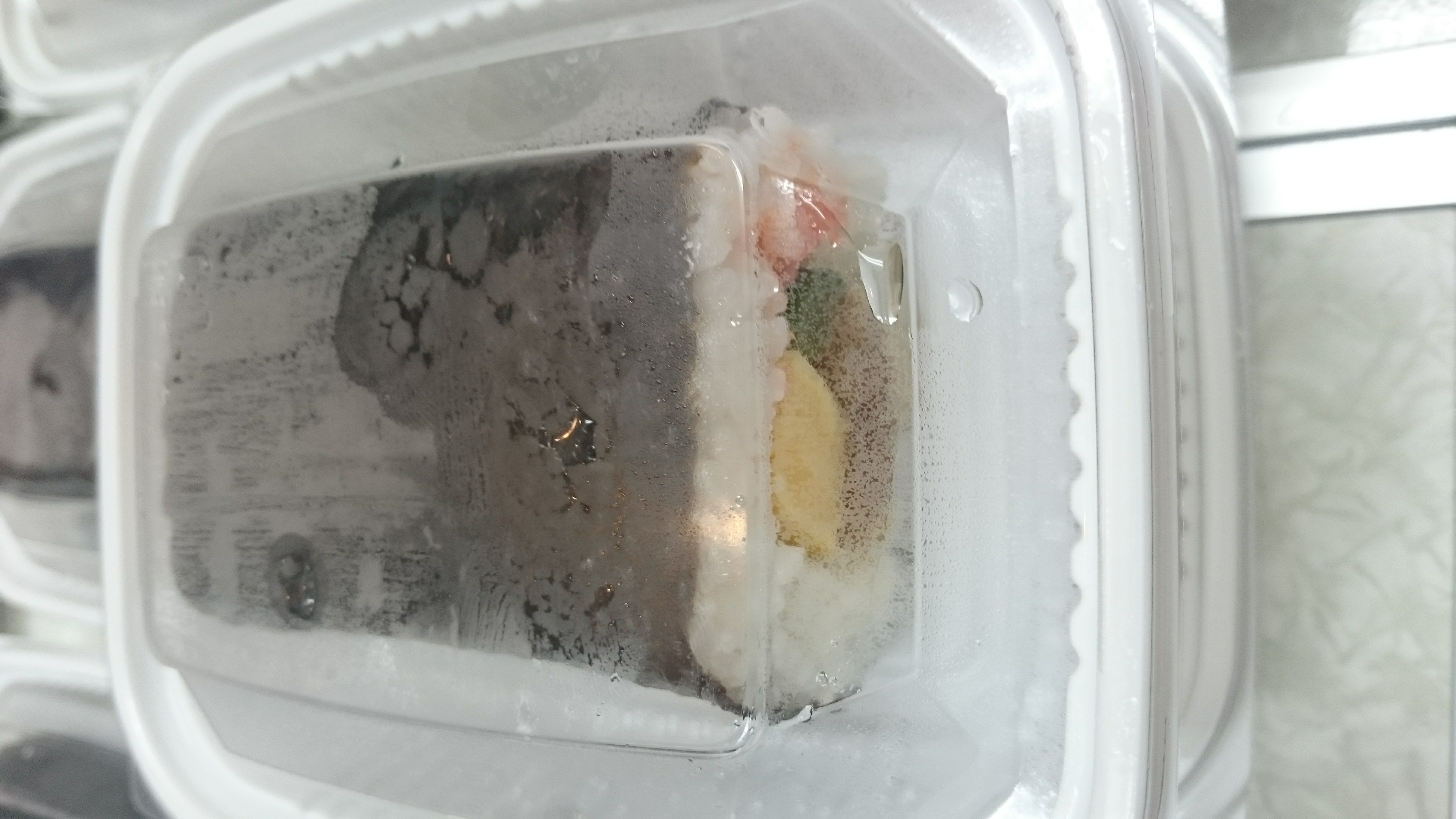 Frozen Sushi Test Done Right! Flash Freeze(03)