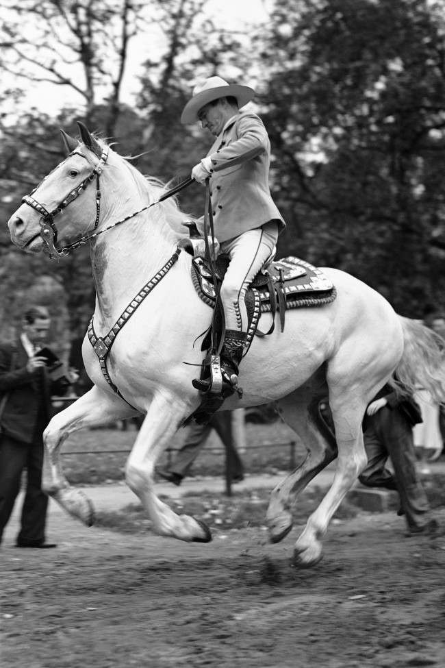 Tom Mix Was Hollywood’s Original Cowboy Tough Guy (Photo)