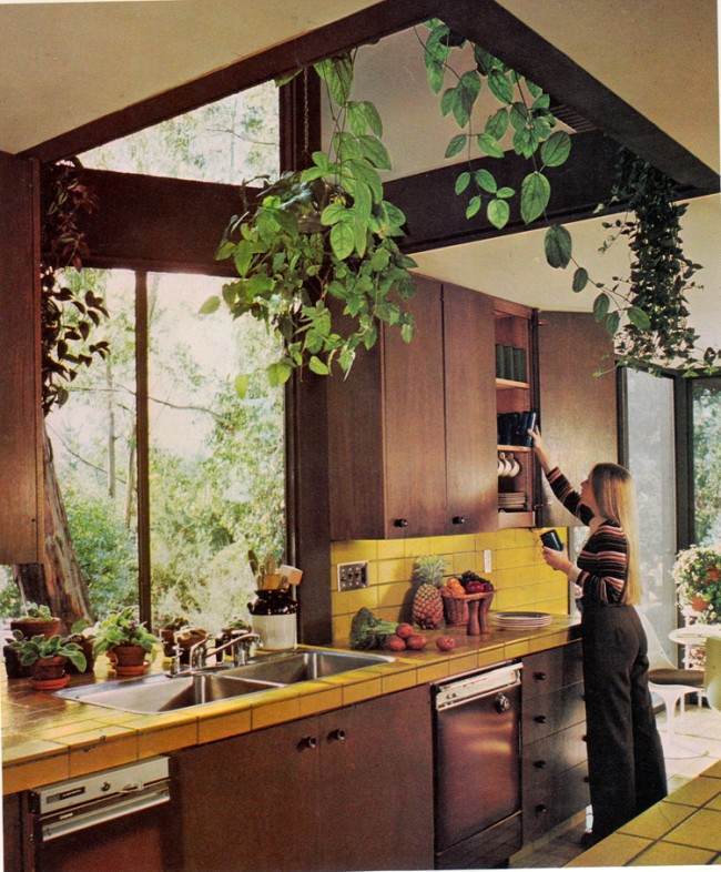 Those Fabulous and Frightening 1970s Kitchens Flashbak