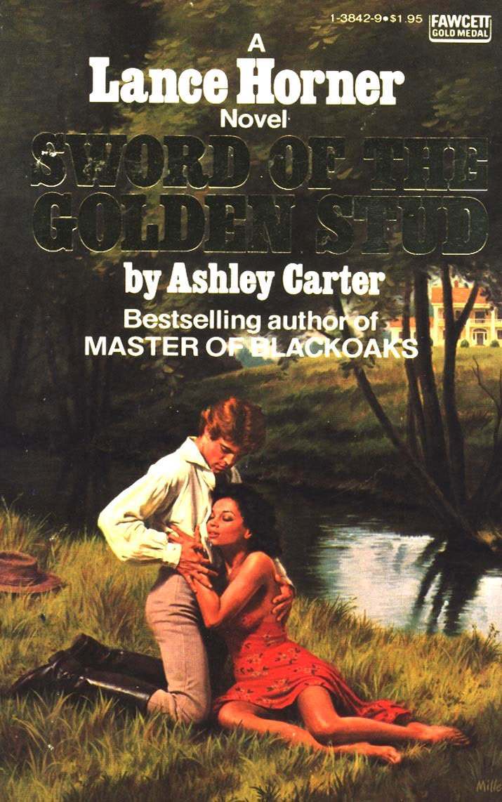 BodiceRipping Passions 17 Vintage Romance Novels Flashbak