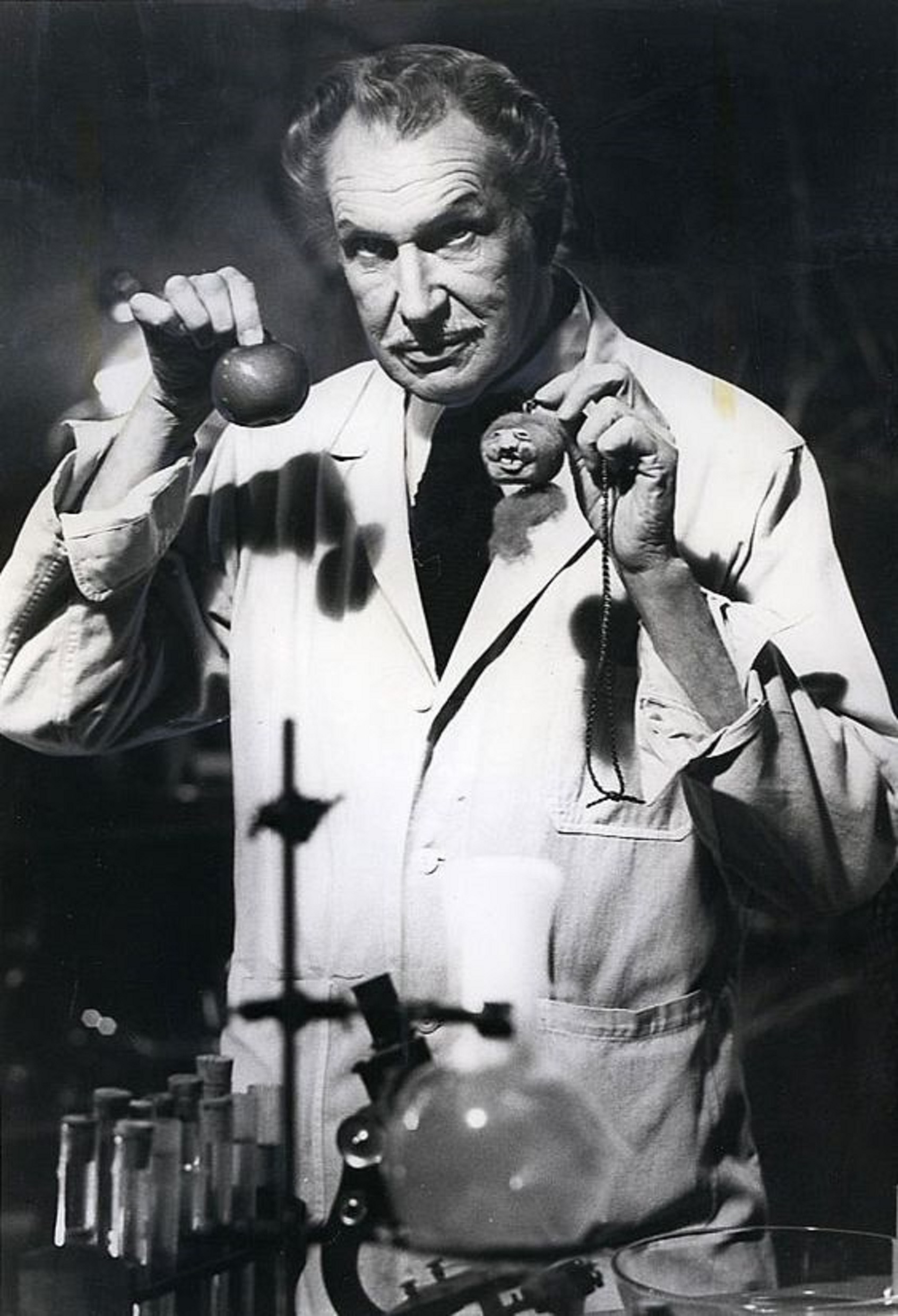 This Could Be Your Head! The Shrunken Head Apple Sculpture Kit (1975