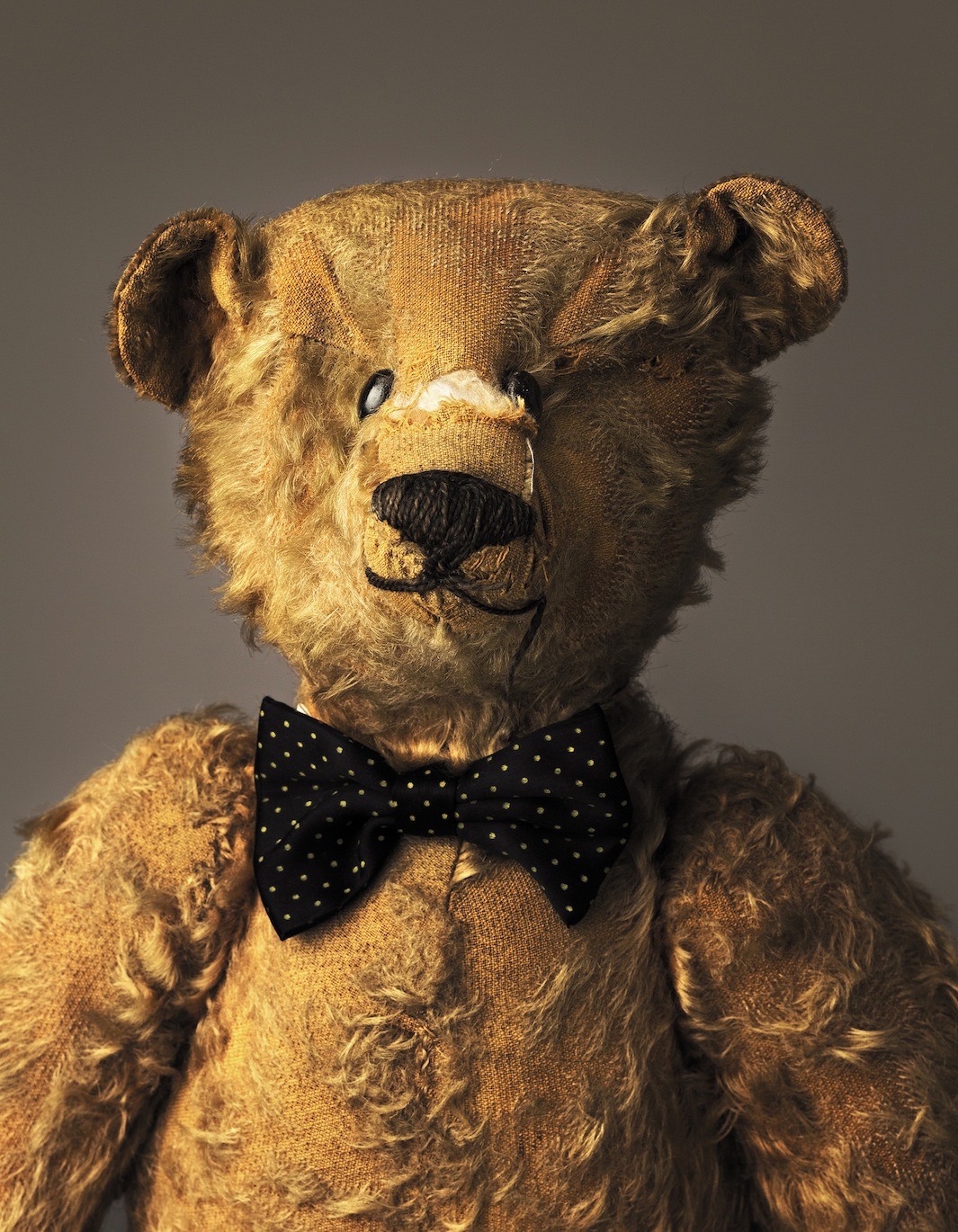 Loved To Bits Portraits Of My Teddy Flashbak