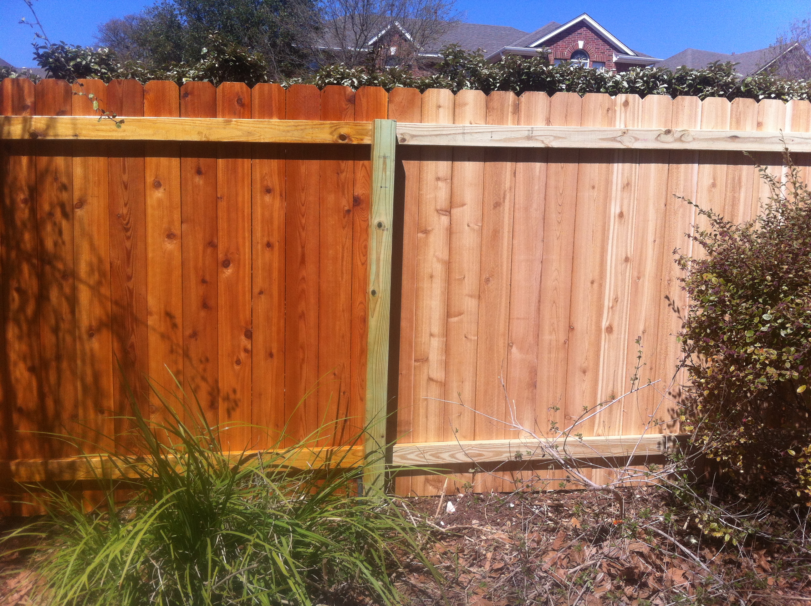 Professional Fence Restoration and Stain