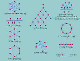 7 Network Topology Types (Plus Definitions And Key Features