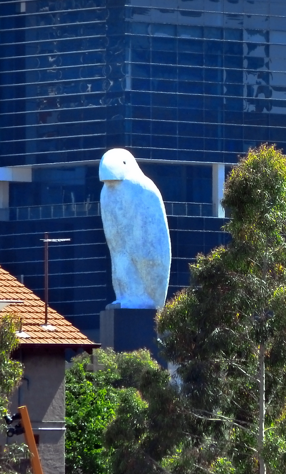 Australia Melbourne Travel Thoughts Flashpacking Travel Blog