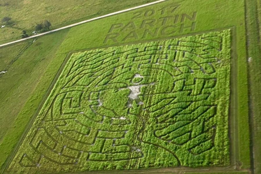 15 Amazing Corn Mazes In Florida To Visit This Fall