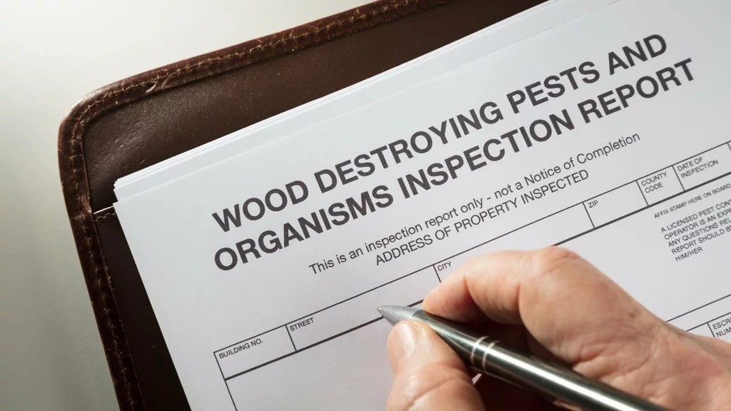 Flash Pest Control Termite Inspection North Brisbane & Sunshine Coast