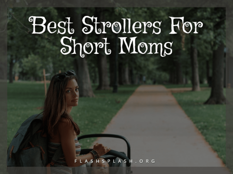 20+ Best Strollers For Short Moms 2023 Reviews