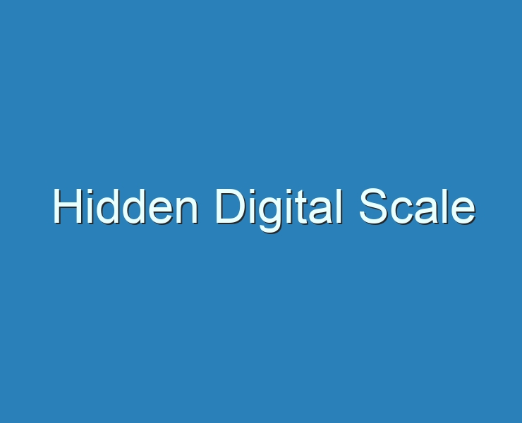20+ Best Hidden Digital Scale 2023 Reviews