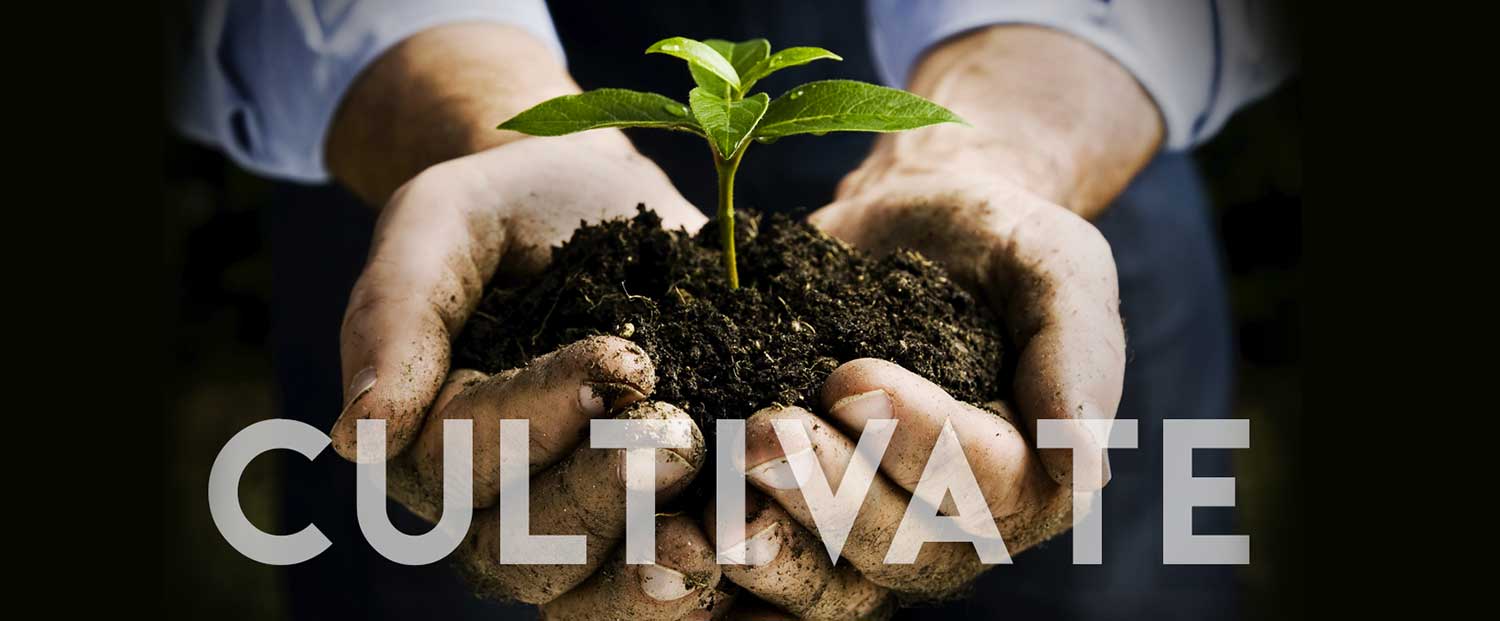 Cleveland Management Consulting, PR, & Communication Services Flash Three