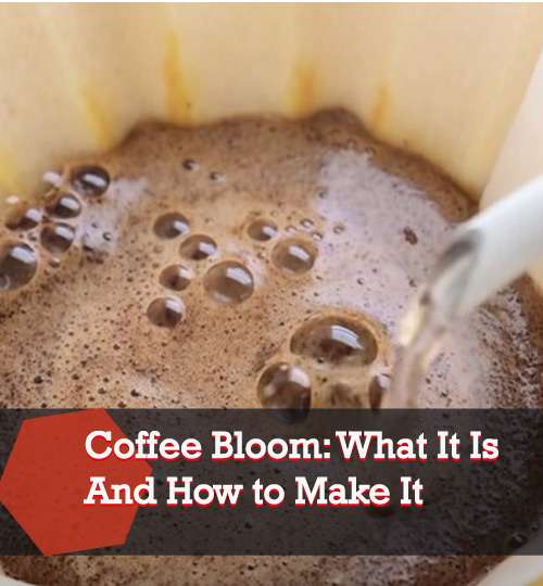 Coffee Bloom What It Is And How To Make It