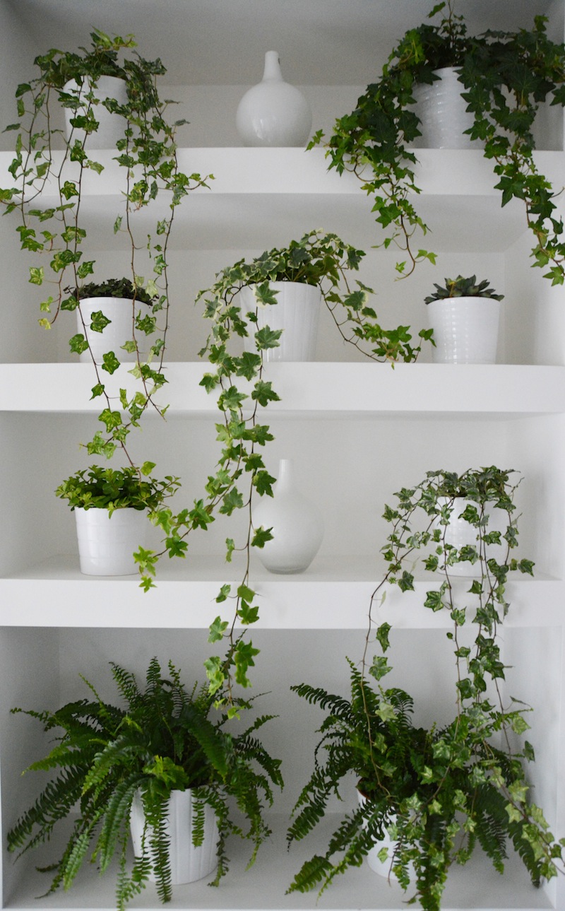 Build Your Own Green Wall Flat 15 Lifestyle & Design