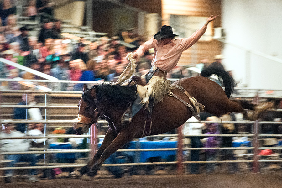 Cinch Bucking Horse Championships Flathead Beacon