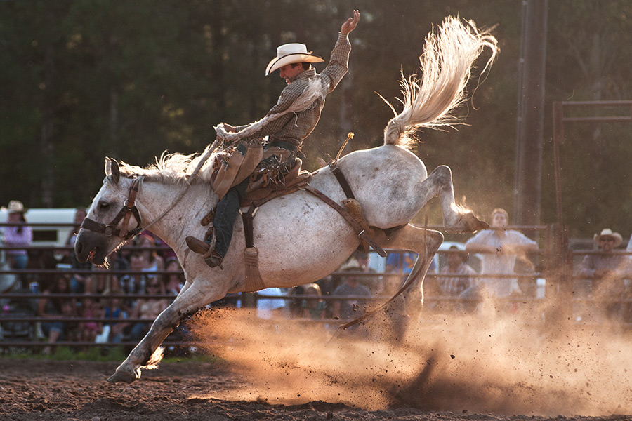 Photos Northwest Montana Rodeo Season Flathead Beacon
