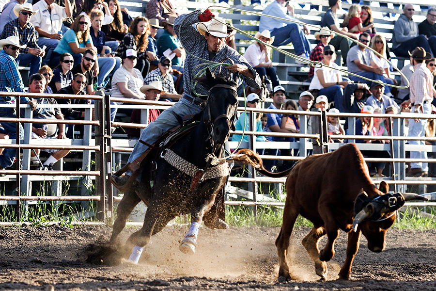 Photos Brash Rodeo at the Blue Moon Flathead Beacon