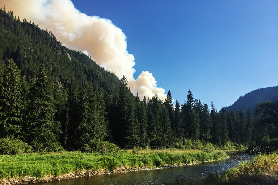 Photos Copper King Fire Flathead Beacon