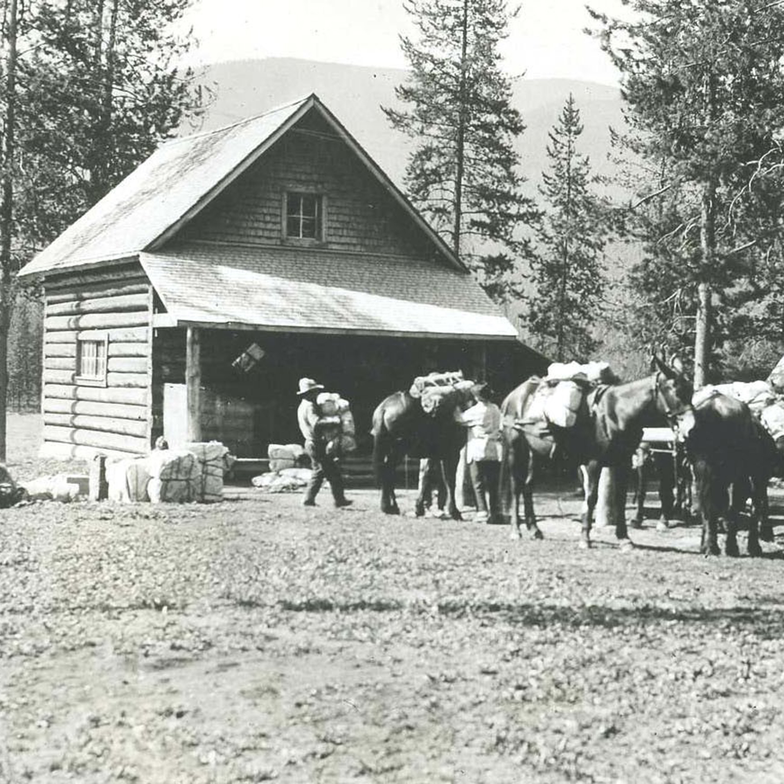 Cabins in the Woods Flathead Beacon