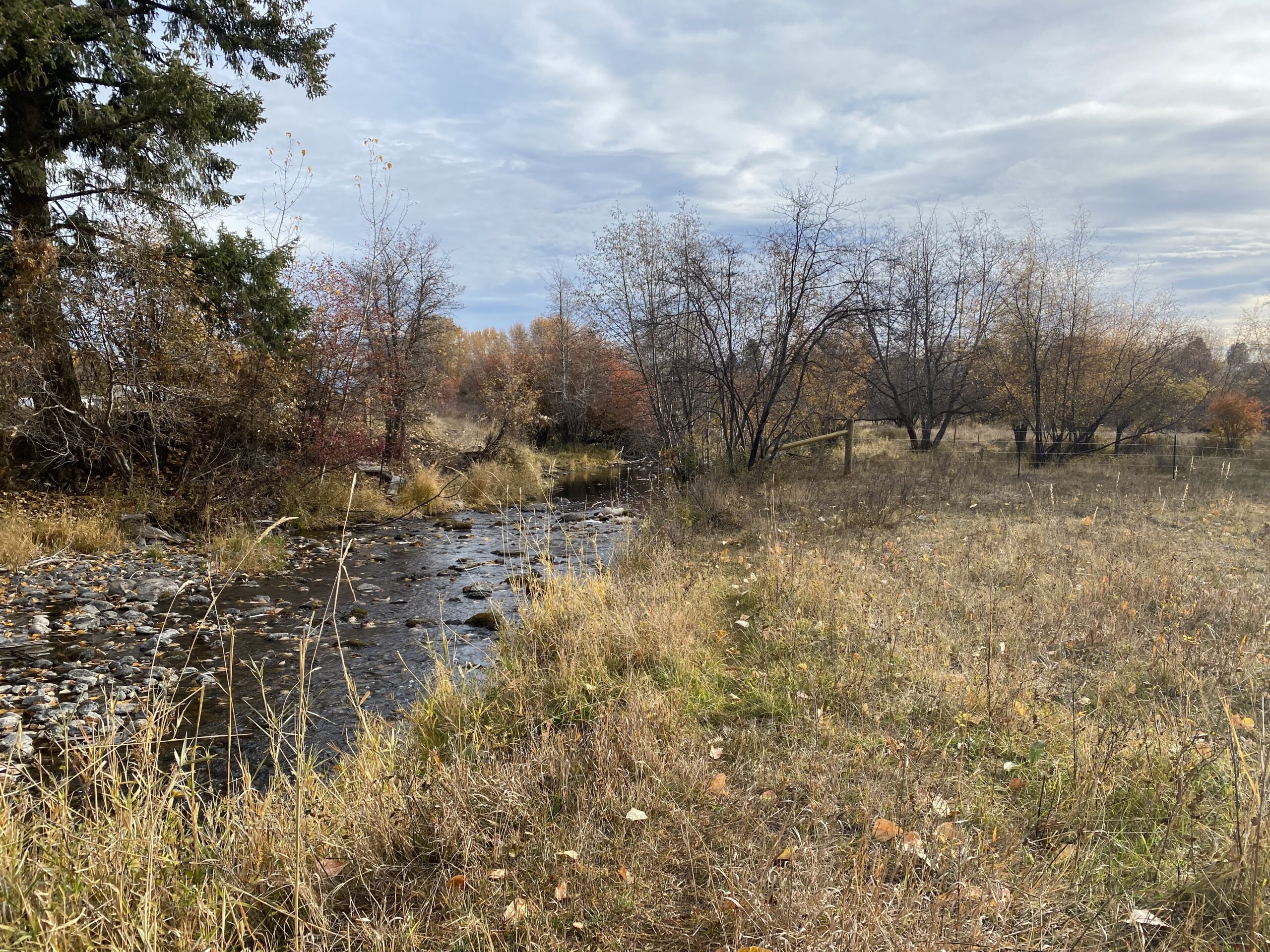 Friendly Fences on Ashley Creek Benefits for Water and Wildlife