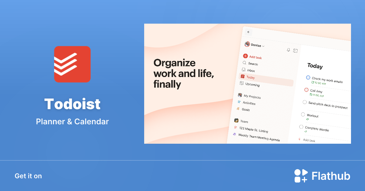 Install Todoist ToDo List & Tasks on Linux Flathub