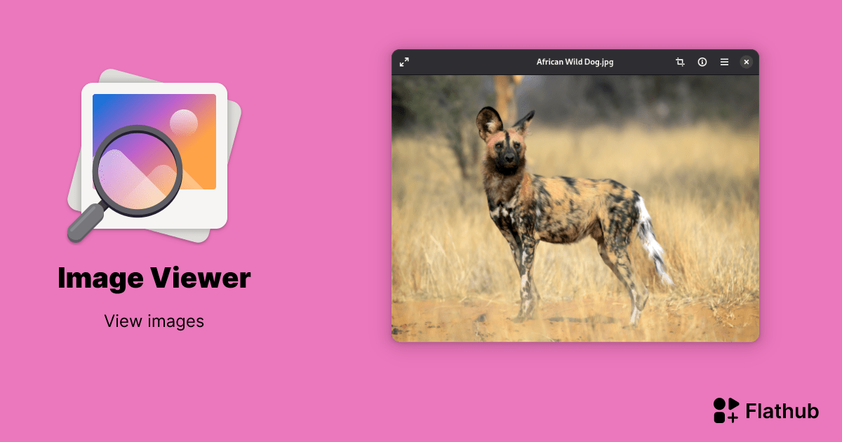 Install Image Viewer on Linux Flathub