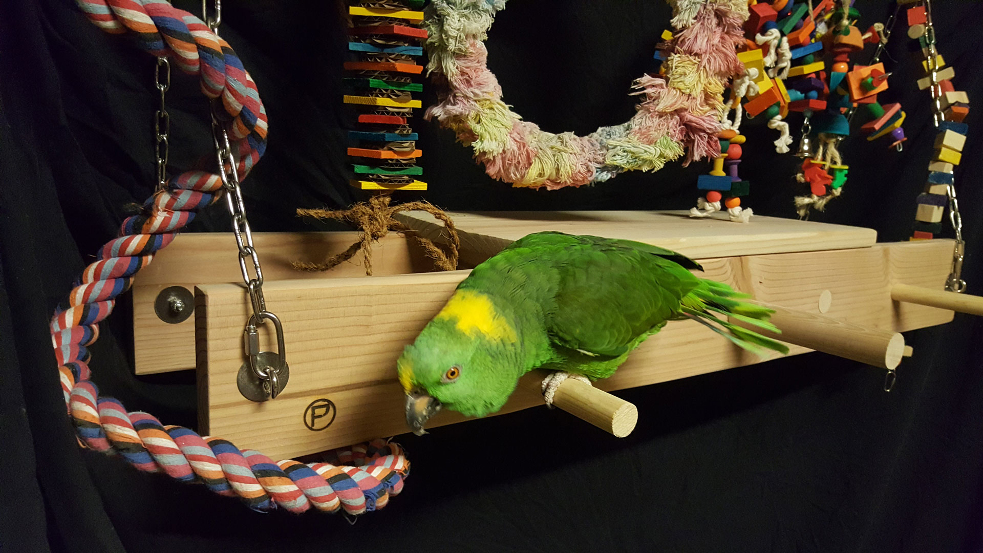 Flat Perch a relaxing spot for your birds to roost and rest.