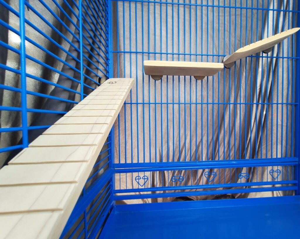 Flat Perch Shelf 4 x 11 Great for Small birds Cockatiels Flat Perch