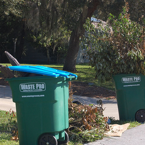 Yard Waste Removal and Disposal Experts Flat Rate Junk Removal NY