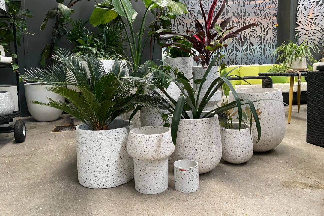 Pots Adelaide Flavio Outdoor Living Solutions Call Us Today!