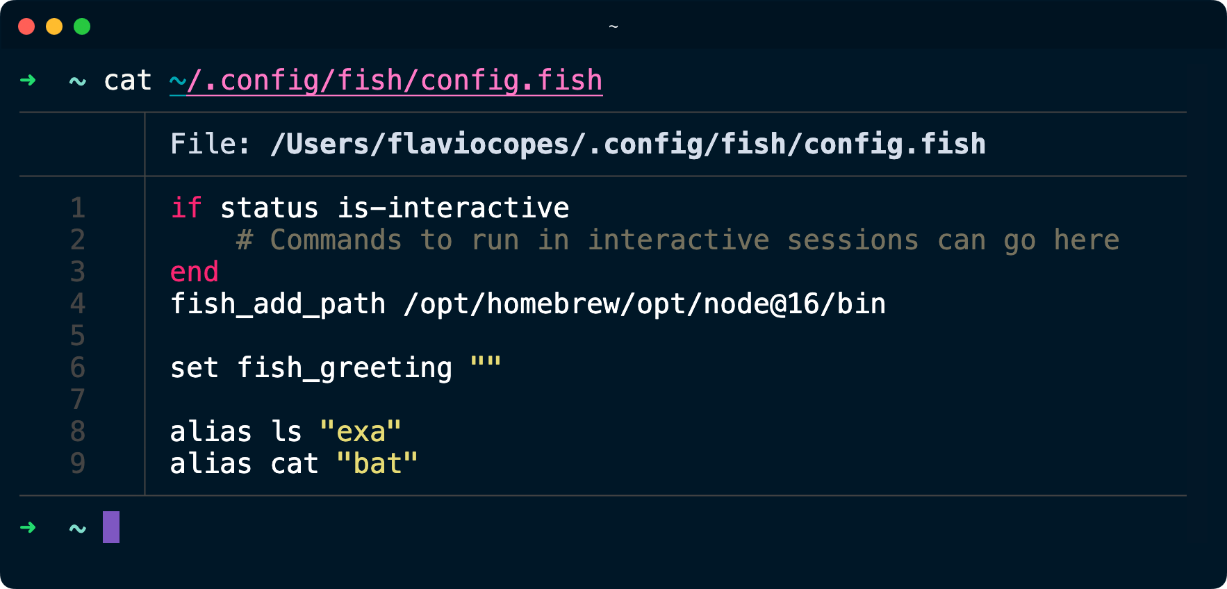 Persist aliases and other configuration in Fish Shell