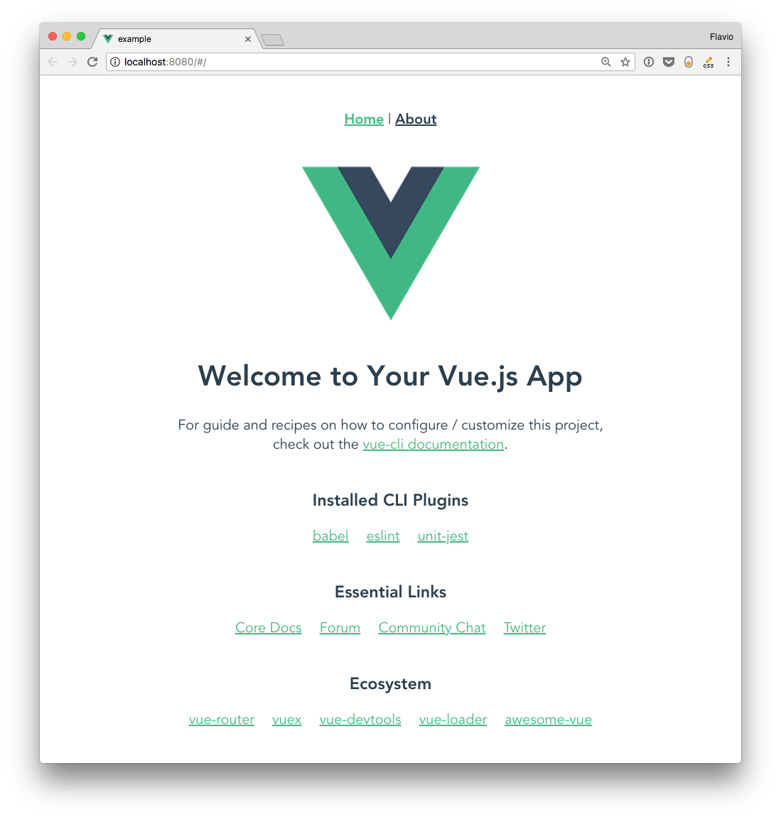 The Vue.js 2 CLI learn how to use it