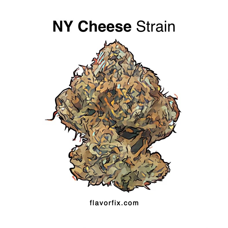 NY Cheese Strain Cannabis Strain Information Flavor Fix