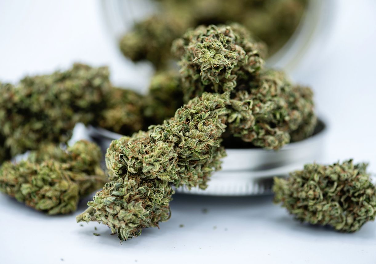 Double Mint Strain Strain Info & Ratings Flavor Fix