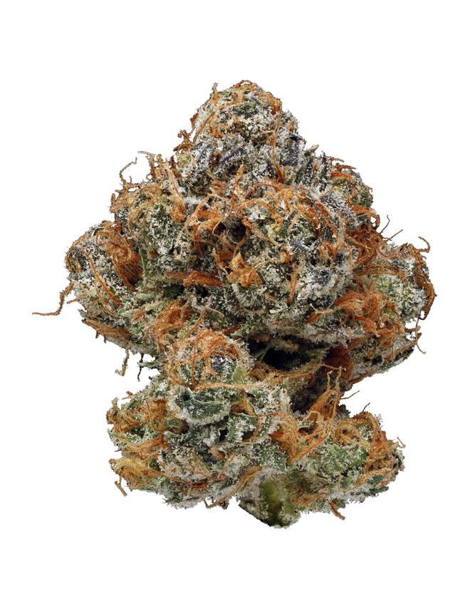 NY Cheese Strain Cannabis Strain Information Flavor Fix