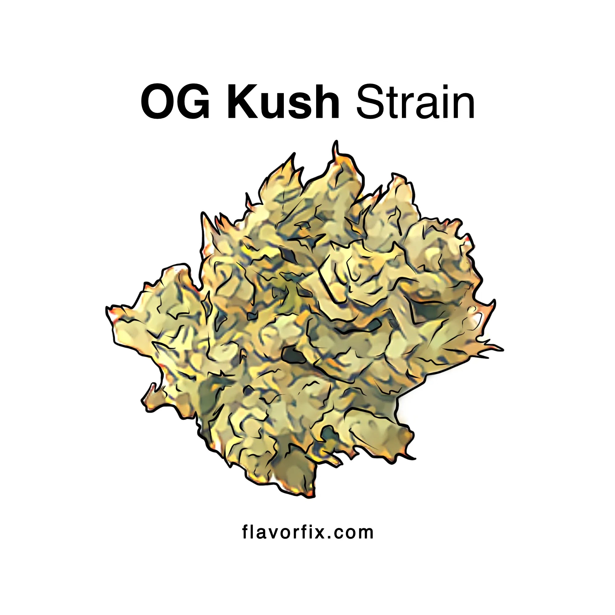 OG Kush Strain Fun Facts & Origins Flavor Fix