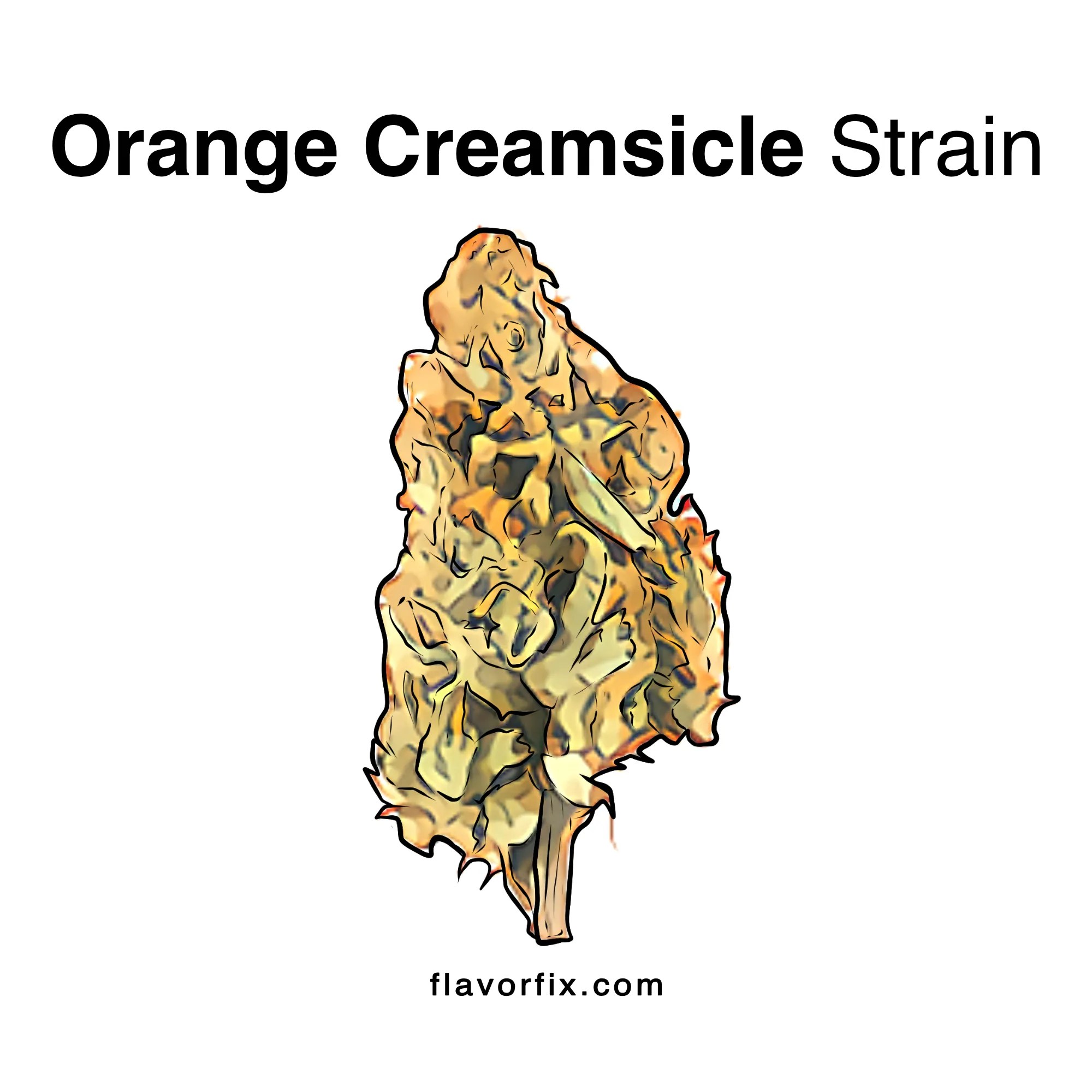Orange Creamsicle Strain Cannabis Strains Flavor Fix