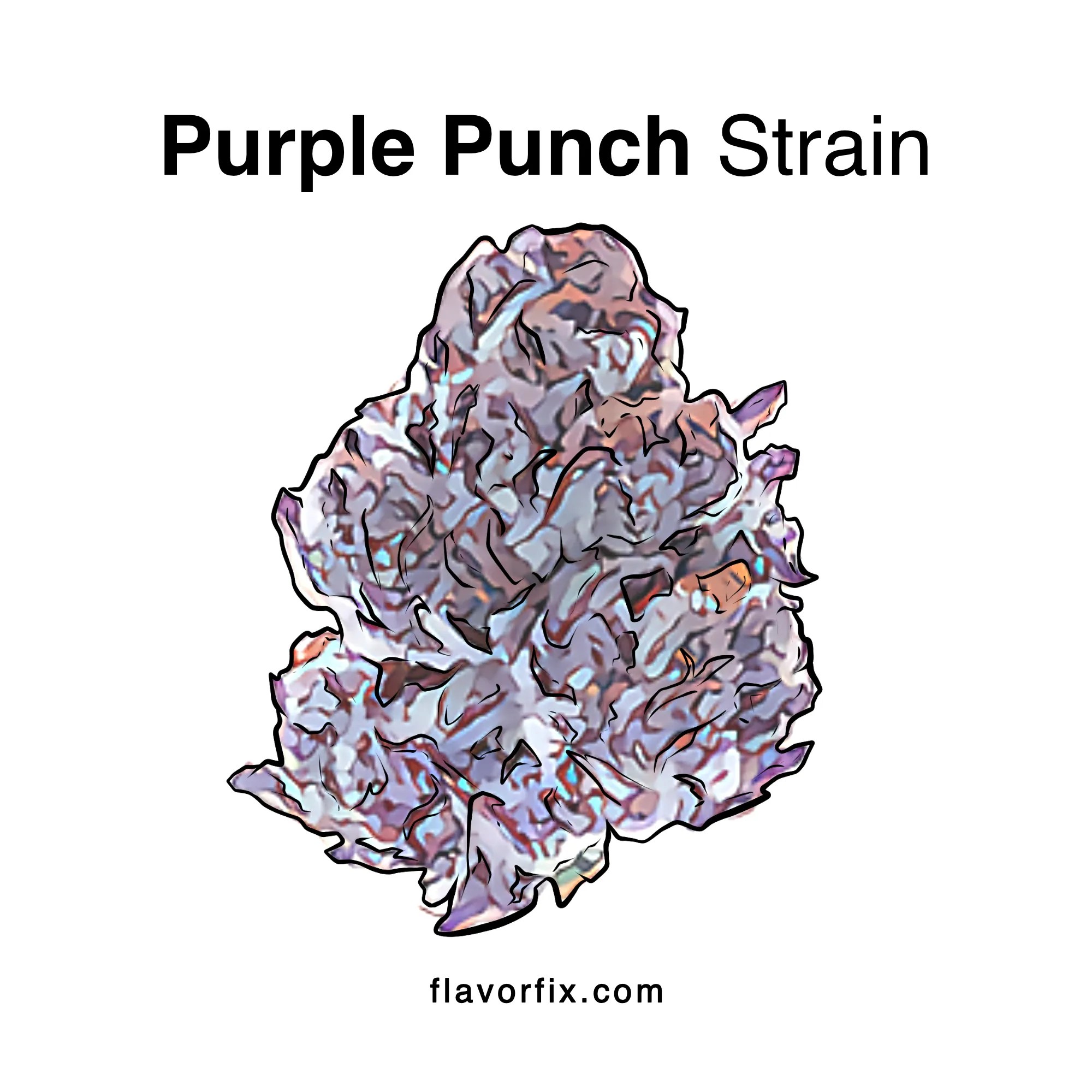 Purple Punch Strain Cannabis Strains Info Flavor Fix