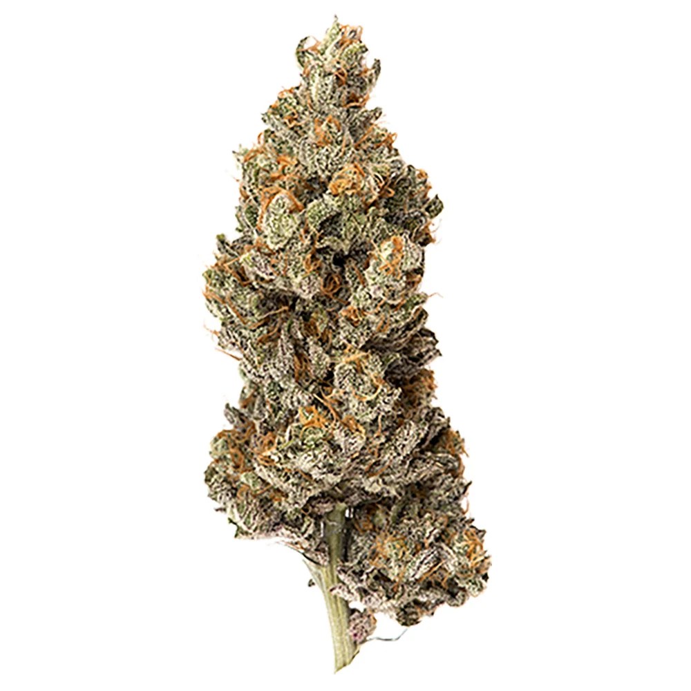 Grape Soda Strain Info Cannabis Strains Flavor Fix