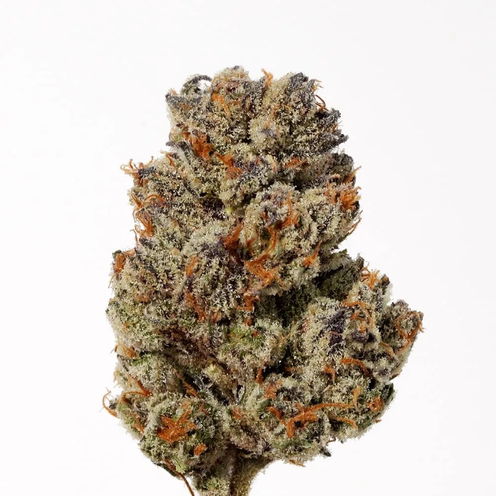 Ice Cream Man Strain Info Cannabis Strains Flavor Fix