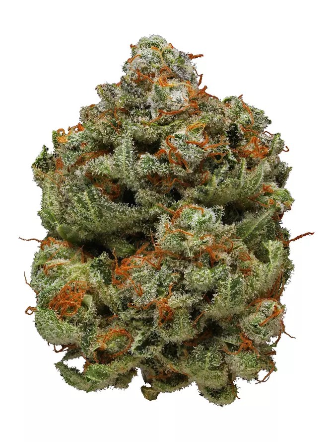 Watermelon Strain Info Cannabis Strains Flavor Fix