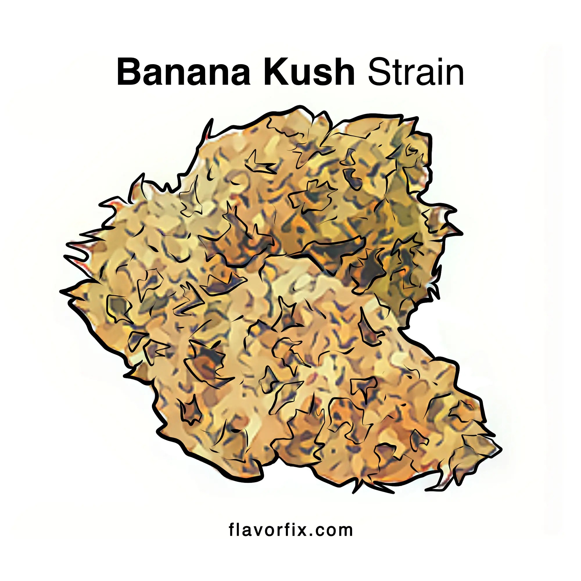 Banana Kush OG Strain Information & Facts Flavor Fix