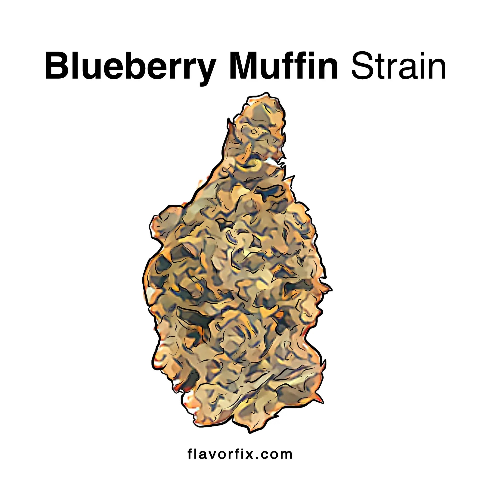 Blueberry Muffin Strain Cannabis Strains Flavor Fix