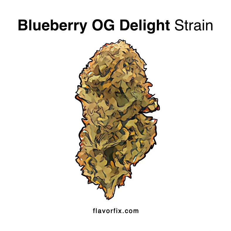 Blueberry OG Delight Strain Information Flavor Fix