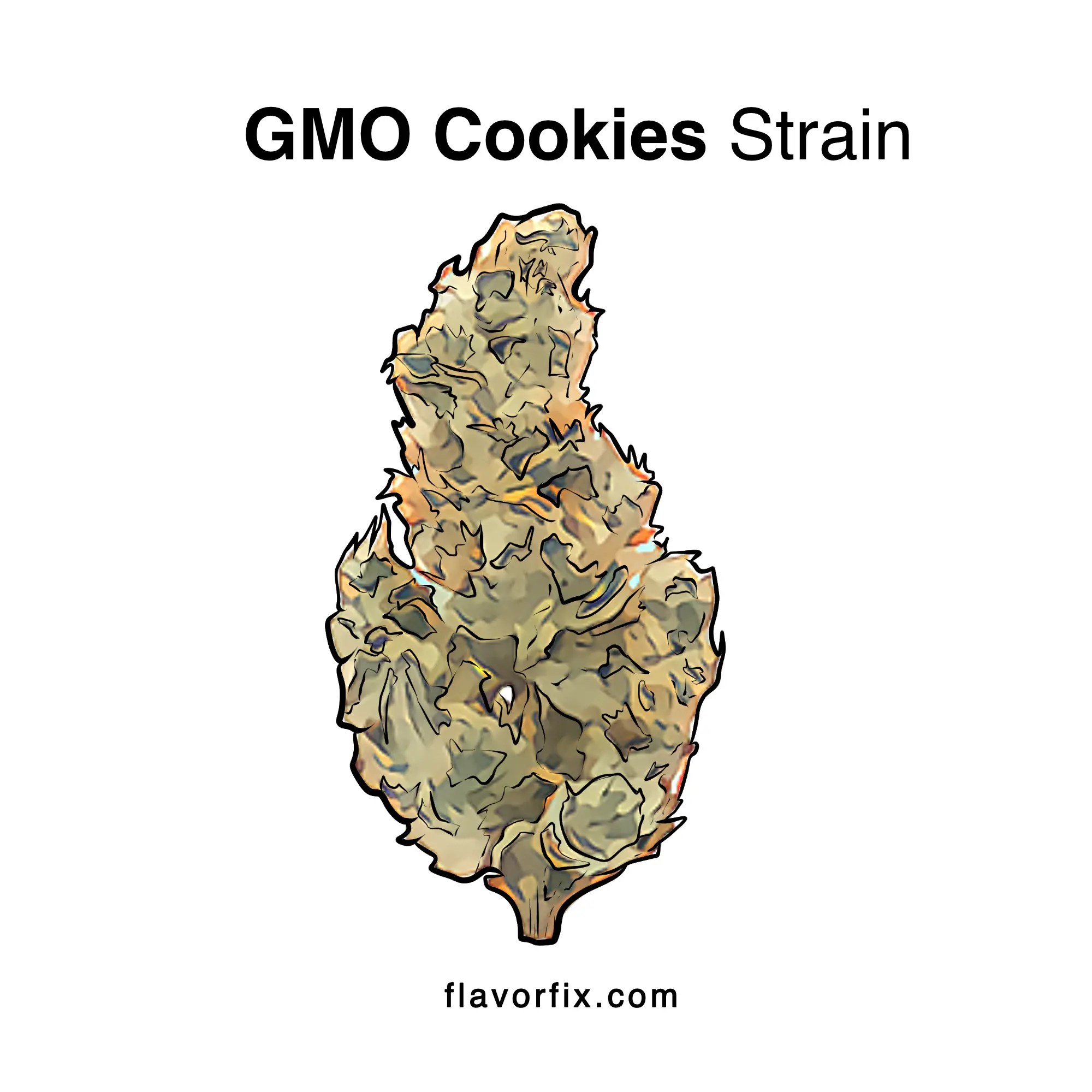 GMO Cookies Strain Cannabis Strains Info Flavor Fix
