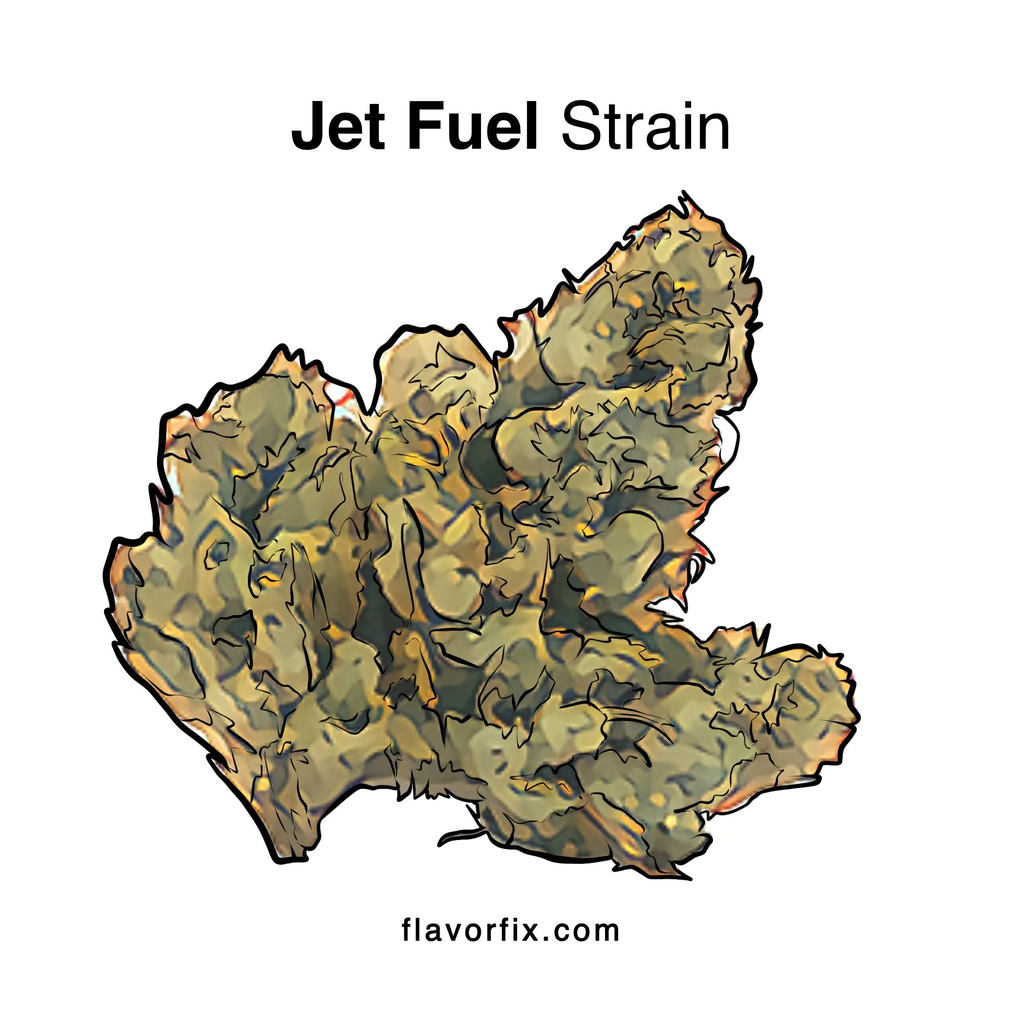 Jet Fuel Strain Fly With Jet Fuel Flavor Fix