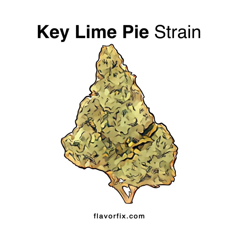 Key Lime Pie Strain Cannabis Strains Flavor Fix