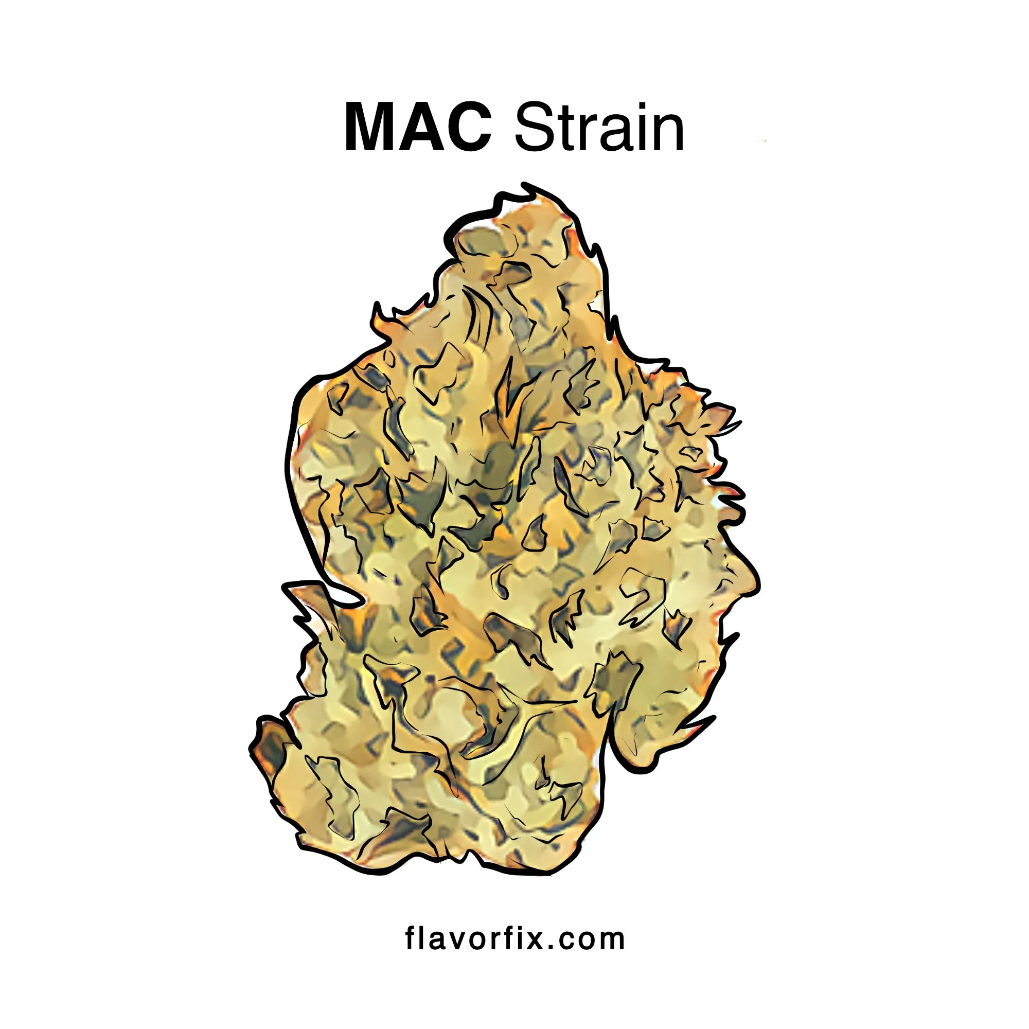 MAC Strain Effects & Info Cannabis Strains Flavor Fix
